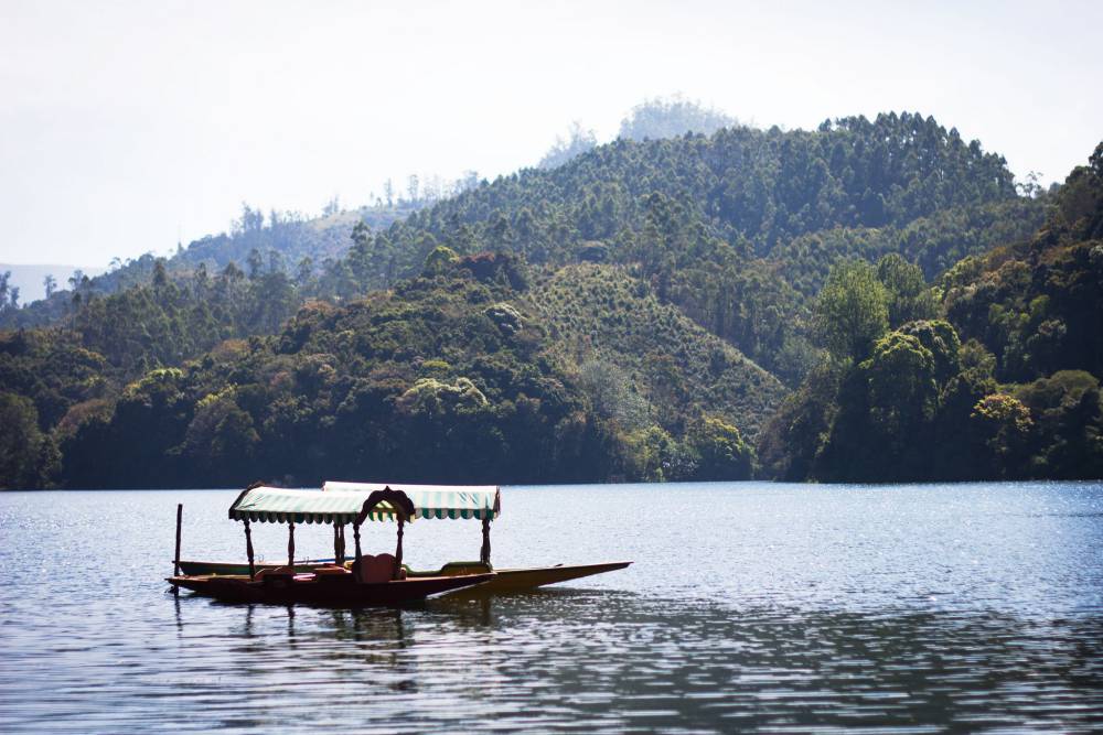 Munnar (16)